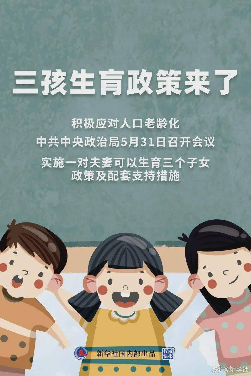 一碼一肖100難王中王，揭秘背后的秘密與策略，揭秘一碼一肖100難王中王背后的秘密與策略探究