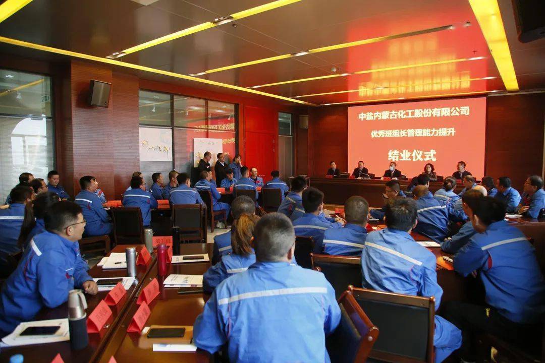 中鹽內蒙古化工股票，投資前景深度解析，中鹽內蒙古化工股票投資前景深度剖析