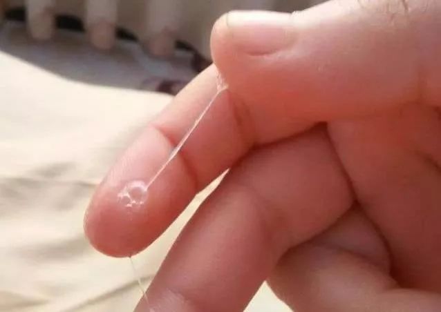 突然一灘水與排卵，解讀女性身體信號(hào)，女性身體信號(hào)解讀，排卵期的水灘現(xiàn)象解析