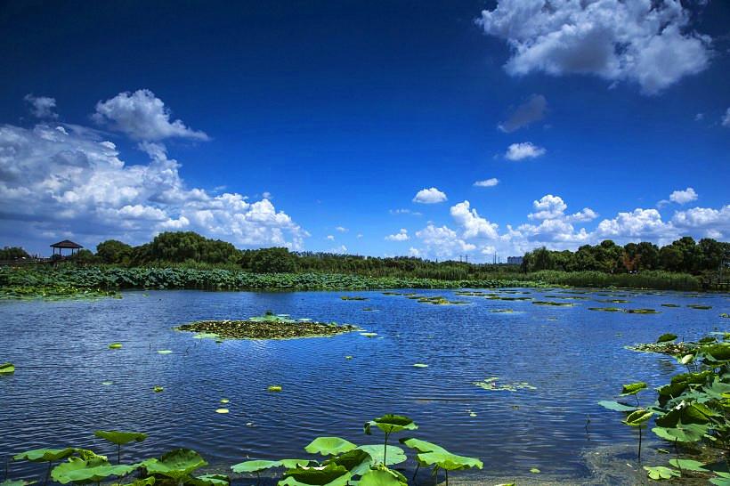 山東天氣最新消息，全面了解山東各地的氣象動(dòng)態(tài)，山東最新天氣預(yù)報(bào)，全面解讀各地氣象動(dòng)態(tài)