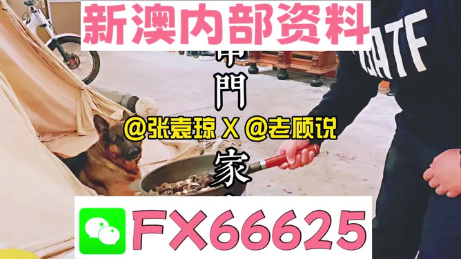 澳門管家婆資料正版大全——全面解析與深度探索，澳門管家婆資料正版大全，全面解析與深度探索指南
