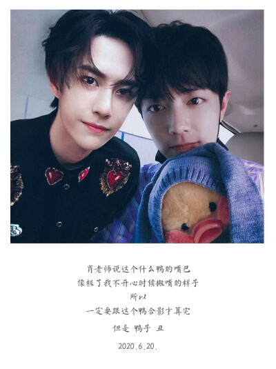 王中王一肖中特一肖精準預測——揭秘生肖運勢與未來展望，揭秘生肖運勢預測，王中王一肖精準預測未來展望