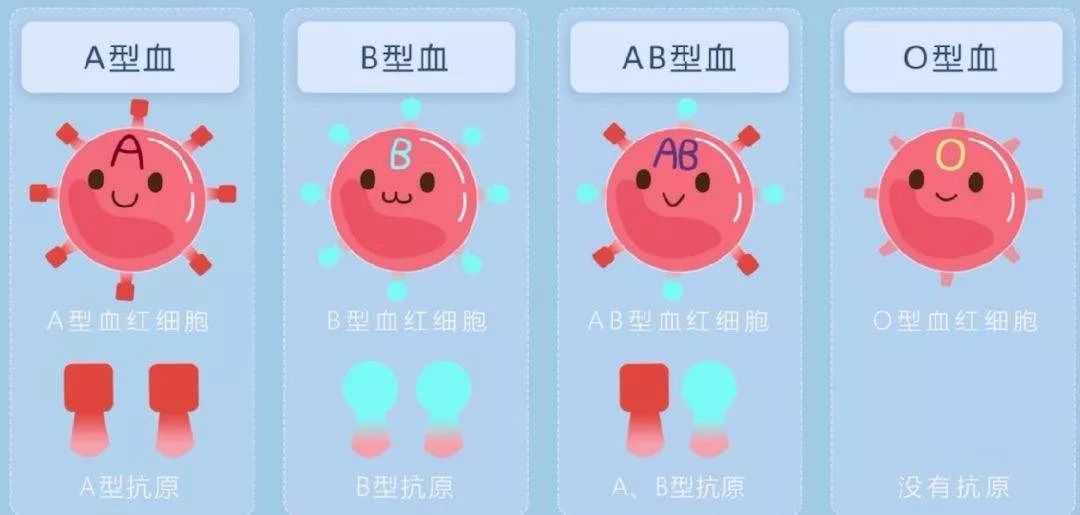 關(guān)于血型相克與不孕不育的問題解析，血型相克與不孕不育關(guān)系解析