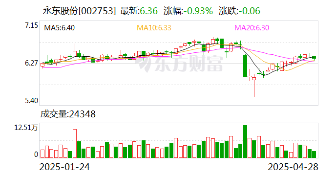 永東股份，引領(lǐng)行業(yè)前沿，塑造卓越未來，永東股份，引領(lǐng)行業(yè)先鋒，塑造卓越未來之路