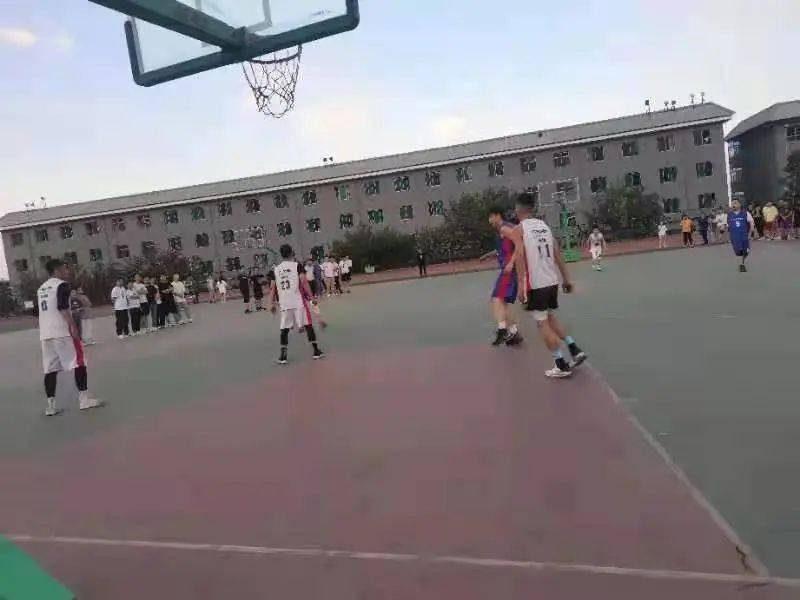 澳門二四六天下彩天天免費大全——全面解析澳門彩票文化，澳門彩票文化全面解析，二四六天下彩免費大全