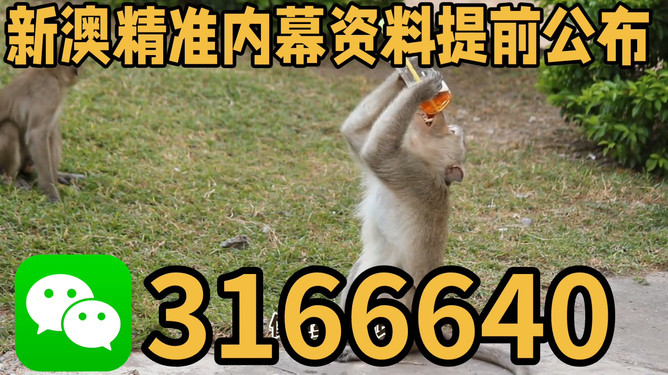 探索澳門特馬文化，四不像的獨(dú)特魅力與未來(lái)展望（關(guān)鍵詞，澳門特馬四不像），澳門特馬四不像文化深度探索，魅力、展望與未來(lái)發(fā)展