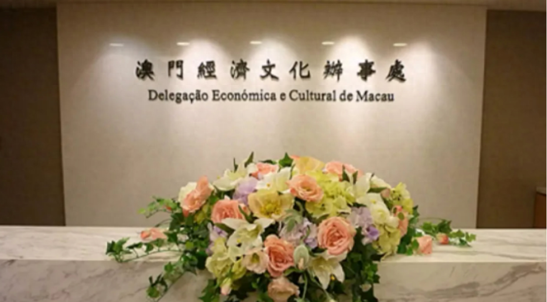 澳門一碼一肖一待一中四不像——揭開神秘面紗下的真相，澳門神秘事件揭秘，一碼一肖一待一中四不像真相探索