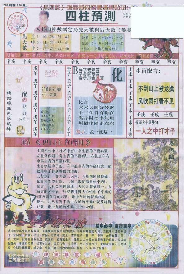 王中王看圖找一肖79期，揭秘生肖奧秘與獨特魅力，揭秘生肖奧秘與獨特魅力，王中王看圖找一肖79期探索之旅