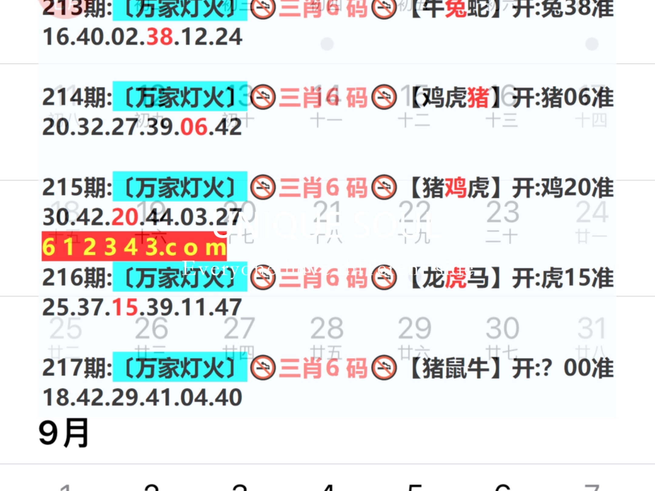 新澳門期期免費(fèi)資料——探索澳門博彩文化的深度與廣度，澳門博彩文化深度與廣度探索，新澳門期期免費(fèi)資料揭秘