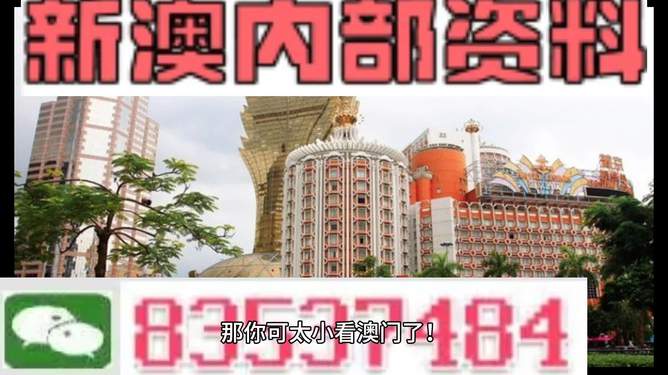 新澳新澳門(mén)正版資料，探索與解析，新澳新澳門(mén)正版資料深度解析與探索