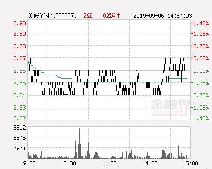 探索美好置業(yè)股吧，揭秘代碼000667背后的故事，揭秘美好置業(yè)股吧，探尋代碼000667背后的故事