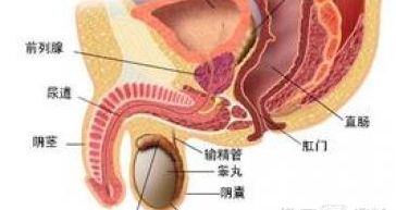 睪丸炎，了解、預(yù)防與治療，睪丸炎，全面解析、預(yù)防與治療方法
