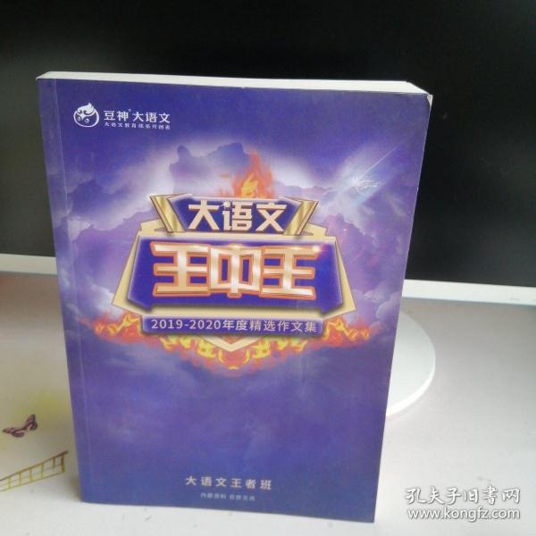 揭秘2019王中王資料一肖，傳奇背后的故事，揭秘傳奇背后的故事，王中王資料一肖探秘（2019版）