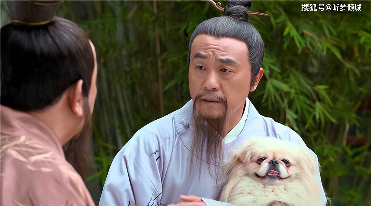 定天下劉伯溫打一生肖——探尋傳奇背后的秘密，劉伯溫傳奇背后的生肖揭秘，定天下之生肖探秘