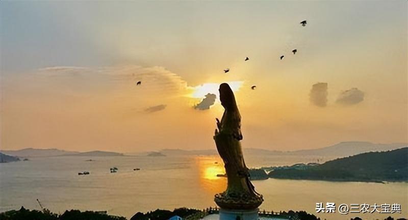 普陀山觀音菩薩二次顯靈照片，神秘經(jīng)歷與信仰之力，普陀山觀音菩薩二次顯靈，神秘經(jīng)歷揭秘信仰之力
