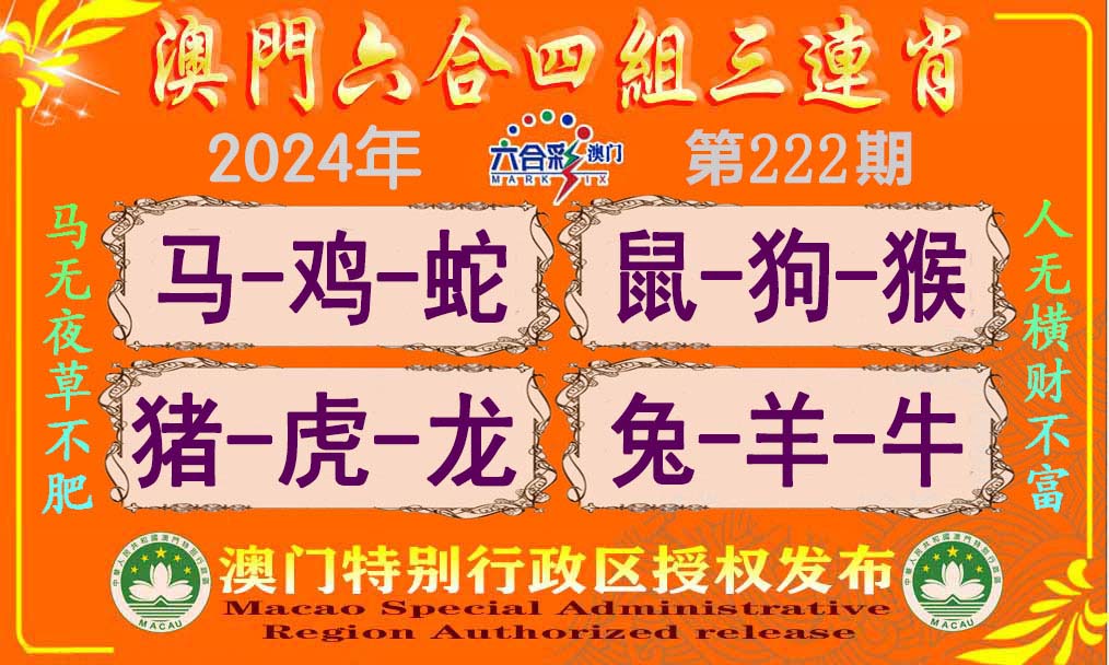 新澳門單雙王，揭秘背后的秘密與策略，揭秘新澳門單雙王背后的秘密與策略之道