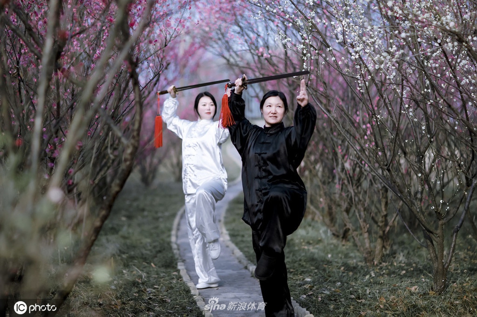 劉伯溫全年六肖選一肖，揭秘預(yù)測(cè)背后的神秘故事與真相，劉伯溫六肖選一揭秘預(yù)測(cè)真相與神秘故事
