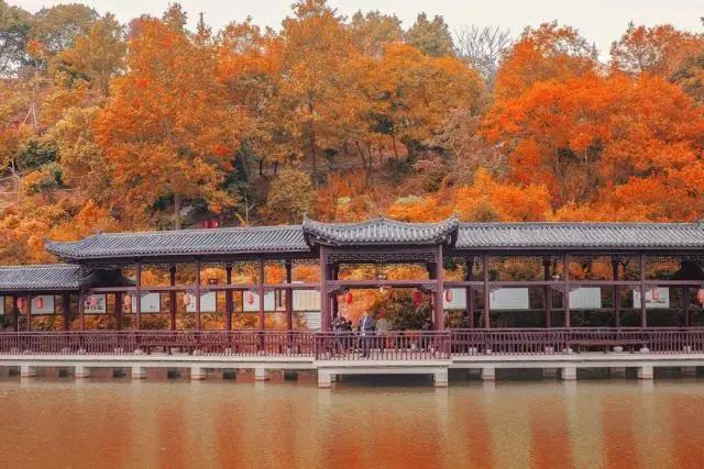 寧波旅游景點(diǎn)一日游哪里最好玩？精選一日游攻略，寧波最佳一日游景點(diǎn)攻略，必玩景點(diǎn)推薦