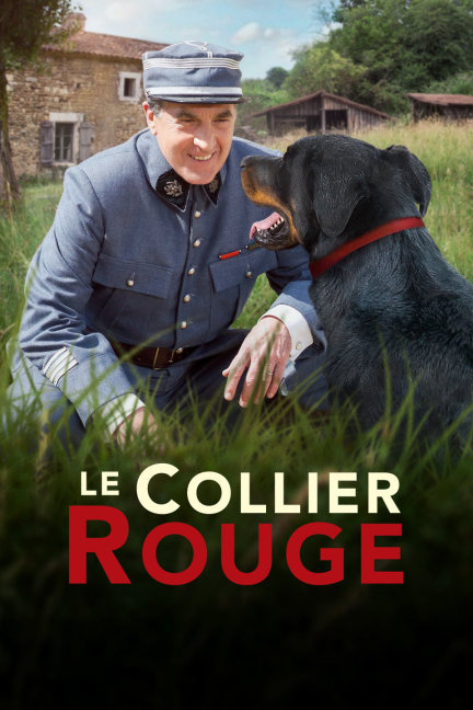 揭秘劉伯溫預(yù)言中的四不像必出一肖，劉伯溫預(yù)言揭秘，四不像預(yù)示必出一生肖