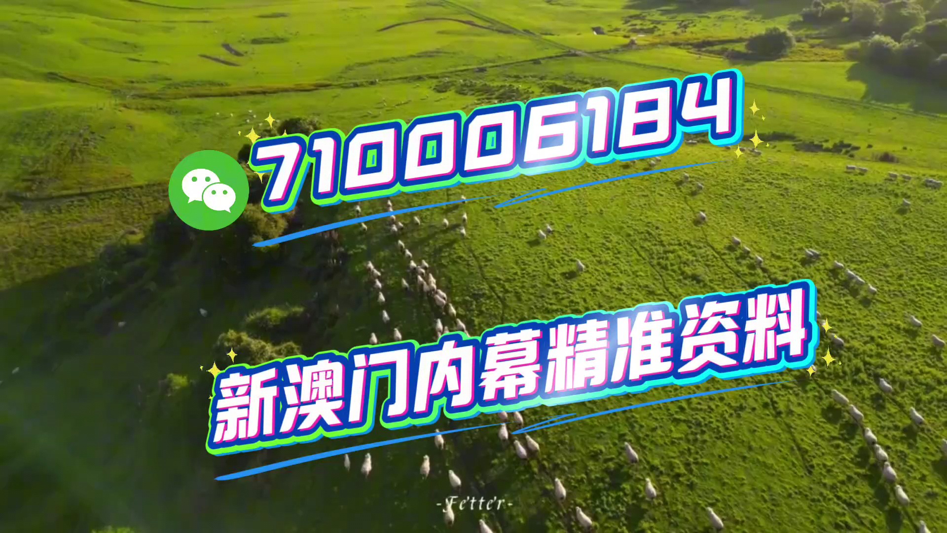 關(guān)于澳門特馬今晚開碼與未來的展望（2023年視角），澳門特馬未來展望，今晚開碼與未來趨勢(shì)分析（2023年視角）