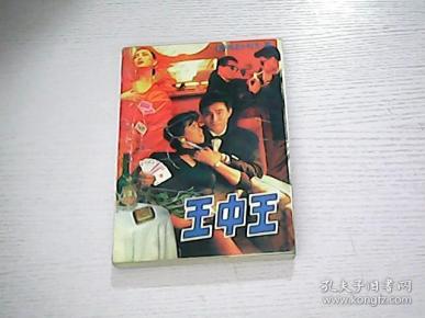 王中王平特一肖，深度解析與探索，王中王平特一肖深度解析與探索心得