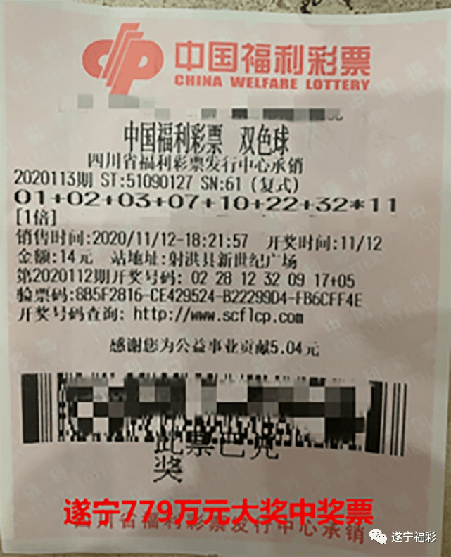 王中王遂寧平臺(tái)一肖中特，深度解析與SEO優(yōu)化策略，王中王遂寧平臺(tái)一肖中特深度解析與SEO優(yōu)化策略探討