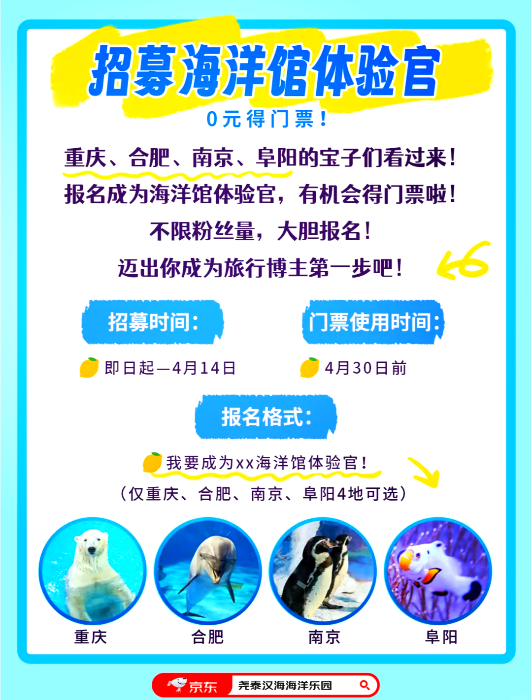 海底世界之旅，預(yù)約門票攻略及體驗(yàn)指南，海底世界之旅，預(yù)約門票攻略與體驗(yàn)指南全解析