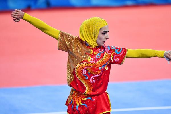 揭秘504王中王一肖，背后的故事與傳奇，揭秘王中王一肖傳奇，背后的故事與神秘面紗