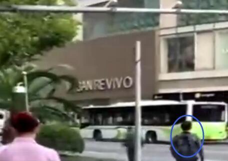 王中王一碼中一肖，揭秘背后的秘密，揭秘王中王一碼中一肖背后的秘密