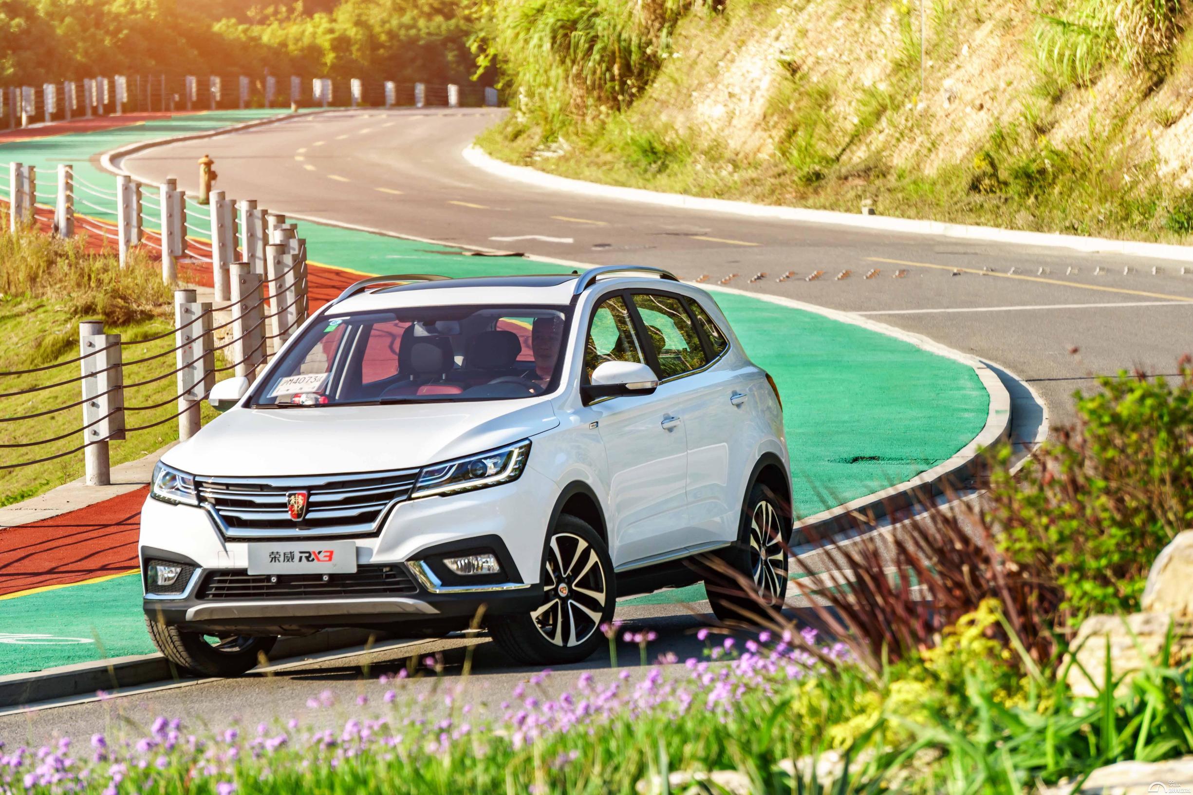 王中王163期指一生肖，揭秘背后的奧秘與生肖文化，揭秘生肖奧秘，王中王生肖文化探尋第163期特輯