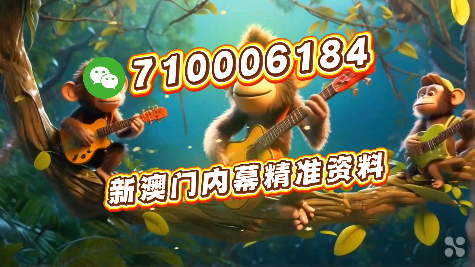 正版一肖一馬王中王中特，探尋背后的故事與真相，探尋正版一肖一馬王中王中特背后的故事與真相