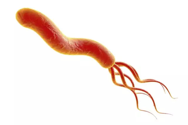 幽門螺桿菌感染的治療方法，全面解析與指導(dǎo)，全面解析幽門螺桿菌感染的治療方法，專業(yè)指導(dǎo)與應(yīng)對策略