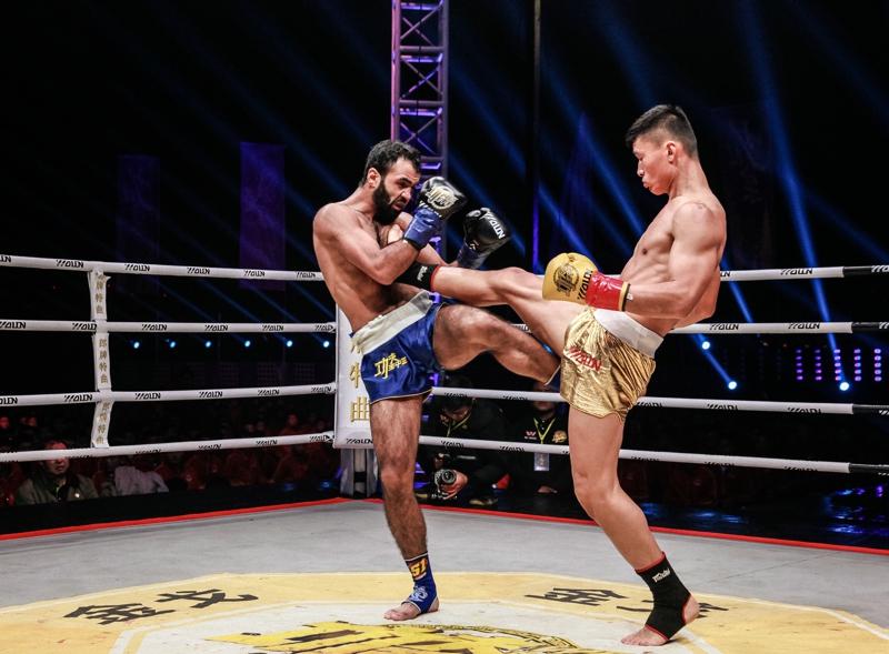 王中王網(wǎng)四肖主一碼，深度解析與SEO優(yōu)化策略，王中王網(wǎng)四肖主一碼，深度解析與SEO優(yōu)化策略全攻略