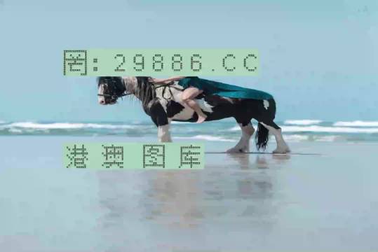 澳門新彩一碼精準(zhǔn)，揭秘彩票預(yù)測(cè)的秘密，澳門新彩一碼精準(zhǔn)揭秘，彩票預(yù)測(cè)背后的秘密之道