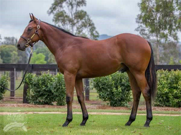 2025新澳免費(fèi)資料曬馬匯——探索最新資訊與資源，2025新澳免費(fèi)資料曬馬匯，最新資訊與資源探索