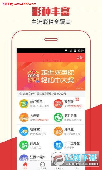 王中王平特一肖，探索神秘?cái)?shù)字世界與SEO優(yōu)化策略，探索數(shù)字世界的神秘與SEO優(yōu)化策略之王中王平特一肖