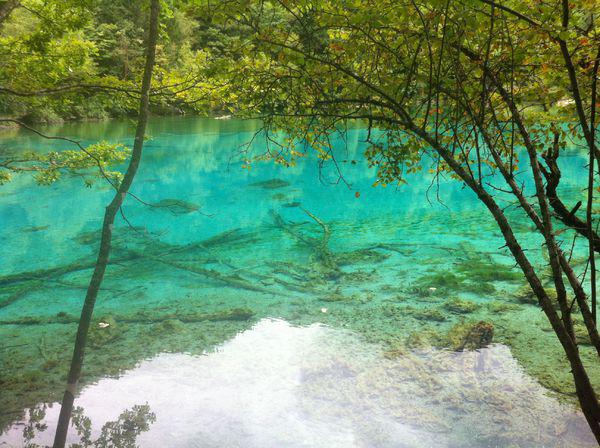 揭秘最佳旅游季節(jié)，幾月份去九寨溝旅游最好？，揭秘最佳旅游季節(jié)，揭秘幾月份去九寨溝旅游最佳體驗？