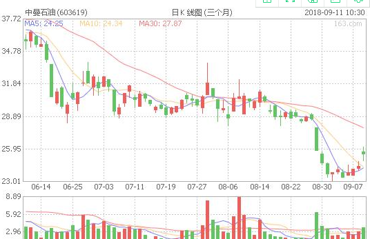 揭秘603619股票，潛力股的投資價值與前景展望，揭秘603619股票，潛力股的投資價值深度分析與前景展望