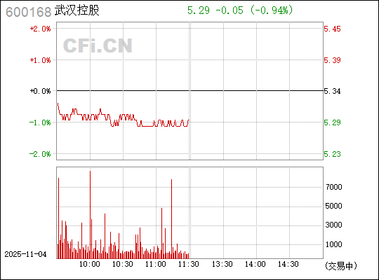 武漢控股股票（股票代碼，600168）深度解析，武漢控股股票（股票代碼600168）全面深度解析