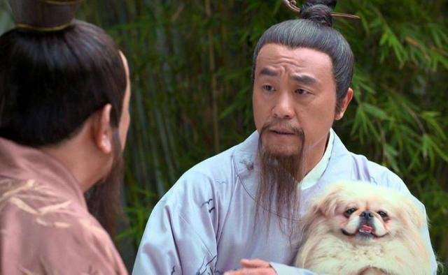 揭秘劉伯溫玄機，一肖期期準的秘密，劉伯溫玄機揭秘，精準預測生肖運勢的秘密