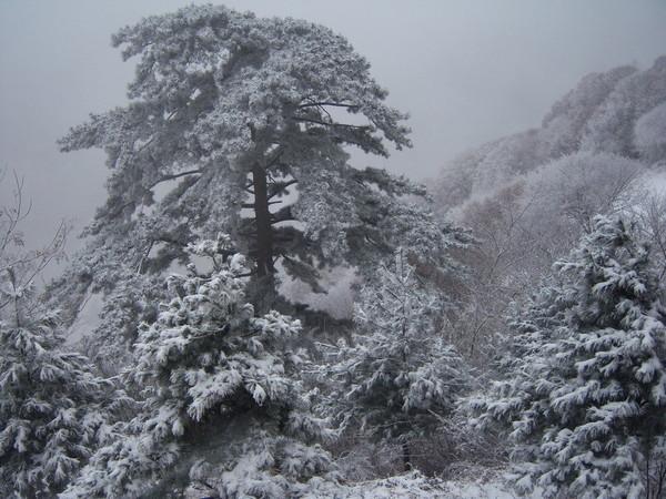 華山二日游最佳攻略方式，華山二日游最佳攻略攻略詳解