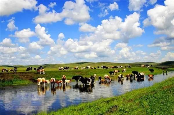 中國夏季旅游勝地前十名——夏日炎炎，赴一場清涼之旅，中國夏季旅游勝地TOP10，炎炎夏日，清涼之旅必選之地