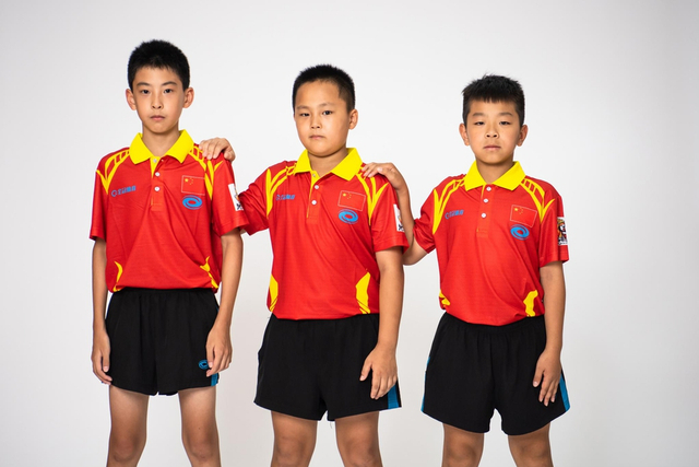 王中王白小姐四肖選一，揭秘背后的秘密與策略，揭秘王中王白小姐四肖選一背后的秘密與策略之道