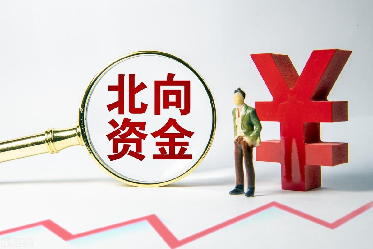 揭秘中國股市中的明星股——代碼為000540的股票深度解析，揭秘中國股市明星股，代碼000540股票深度剖析